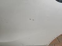 фото thumb №15, Двері citroen ds3 crossback задні ліві