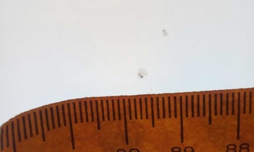 фото thumb №6, Скло лобове vw crafter man tge 2016- оригінальна