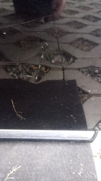 фото thumb №12, Дверь правый перед vw passat b7 чёрные lc9x