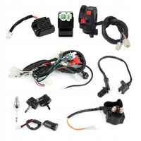 фото thumb №13, Электрический пуск двигателя набор wiązek