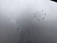 фото thumb №3, Toyota corolla e15 07-12 капот 1f7