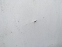 фото thumb №7, Дверь сдвижные левая fiat doblo opel combo