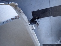 фото thumb №4, Бампер перед передній mg marvel r ep21 2021-