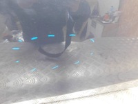 фото thumb №8, Двері ліві ford fiesta mk7 3d