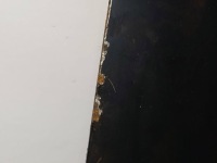 Капот крышка багажника крышка двигателя решётка радиатора решётка  audi a4 b5 avant 8d5 универсал Киев, фото thumb