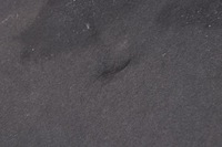 фото thumb №6, Volvo xc60 ii шумоизоляция подкрылок капот клипсы