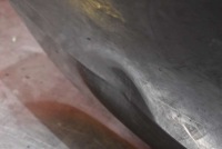 фото thumb №6, Крышка багажника багажника задняя задняя lc9z seat ibiza 4 iv 3d 08-12