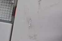 фото thumb №10, Лампа освещение интерьера перед 13157613 opel signum 03-05
