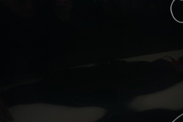 фото thumb №8, Vw passat b7 sedan двері лівий зад задні lh5x