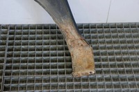 фото thumb №7, Крыло правые перед переднее audi a3 8l рестайлинг lz9w