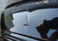 фото thumb №2, Бампер volvo xc90 ii r design задняя задний