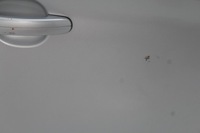 фото thumb №6, Двері правий перед ford kuga mk1 08-10r 2431