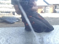 фото thumb №7, Дверь правый перед hyundai ix35 pae