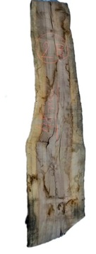 deska tarcica foszty JABŁOŃ suche 1540/350/48 nr.2