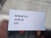 фото thumb №12, Решётка радиатора решётка радиатора радиатора nissan navara np300