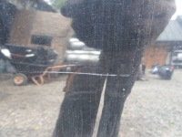 фото thumb №8, Капот перед kpl. peugeot 508 i sw ktvd