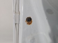 фото thumb №10, Дверь перед левая водителя dacia logan i 05-14 4d -