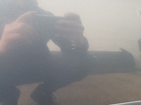 фото thumb №5, Audi a3 8p 04-12r двері праве 3d lz7h