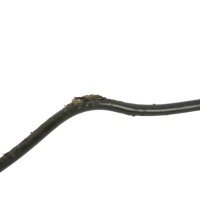 Mini кабриолет  r52 r53 пабтрубок  шланг шланг труба трубка сцепления 6759854 Оригинал, фото thumb