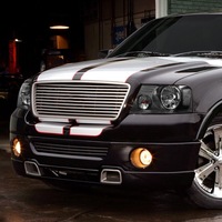 фото thumb №1, Лампы чёрные ford f-150 2004-2008 фары