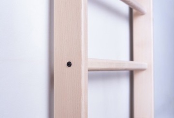 Многофункциональная гимнастическая лестница BenchK 110