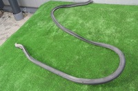 фото thumb №5, Прокладка капот перед оригінал maserati ghibli iii