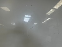 фото thumb №2, Tesla y капот