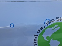 фото thumb №6, Zoe дверь задняя задние перламутр