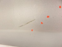 фото thumb №7, Двері праві передні opel astra iv j sports tourer p10 z176