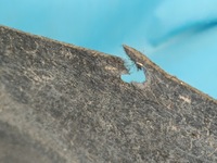 фото thumb №10, Vw passat b8 variant 1.5 tsi 110kw 2024 r підкрилок лівий задня 3g0810971g