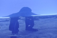 фото thumb №6, Volvo s60 ii v60 дверь правый перед передние полный