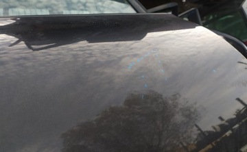 фото thumb №8, Двері зад праві seat altea 5p 04-15 біржа pń