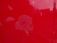 фото thumb №7, Капот крышка двигателя seat leon 1