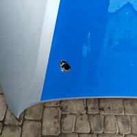 фото thumb №7, Капот крышка двигателя kia ceed 2 ii 2012-2018 цвет kc