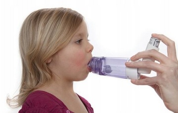 ИНГАЛЯЦИОННАЯ КАМЕРА PHILIPS OPTICAMBER С МАСКОЙ ДЛЯ ДЕТЕЙ М (1-5 лет)