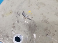 Накладка - hyundai elantra vii 20- 1.6 16v Зі Шроту, фото thumb