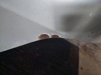 фото thumb №15, Kompletny перед капот крылья лампы бампер ford transit connect i p1