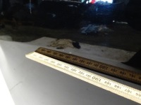 фото thumb №10, Дверь левый задняя левая задние kia sportage iii 1k black перламутр