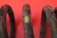 фото thumb №6, Пружина перед honda accord 7 vii 2.4 i-vtec kombi