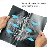 Котушки запалювання mcculloch b26 t26 t26cs 585565501 в Україні, фото thumb