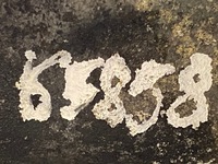 фото thumb №11, Bmw 5 e60 e61 2000cm3 2009 поддон масляная sedan zb780307105