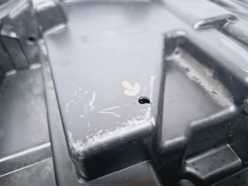 фото thumb №7, Лампа лівий перед ліва передня citroen c4 ii b7 рестайлінг 2015-2017 #8826