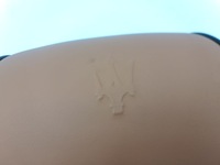 фото thumb №7, Maserati quattroporte 2008 середина подголовник сиденье заднего