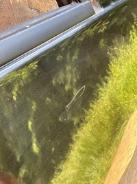 фото thumb №9, Покрашенные дверь перед передние правое nissan juke f15 i