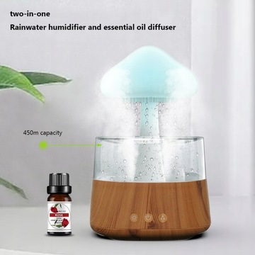 Грибной увлажнитель Rain Cloud
