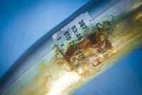 фото thumb №8, Выхлоп гаситель audi a5 8t spb 2.0tdi 8t0253078dj