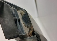 фото thumb №6, 60261swaa00zz крыло перед левый honda cr-v iii