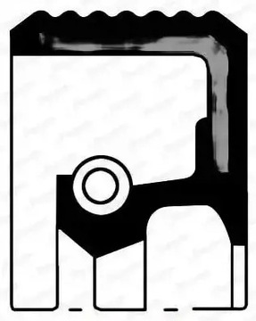 фото thumb №1, Ущільнювальне кільце ущільнювач вала колінчастого nj284 payen