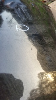 фото thumb №5, Renault modus lift 07- капот перед передня oryg