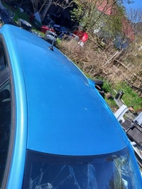 фото thumb №1, Дах clio v 5 terqt